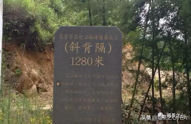 莲花峰茶不适宜哪些人喝，莲花峰茶有什么作用（了解福建全部茶叶看这一篇就够了）