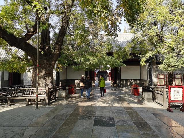 孔子的老家在哪里，孔子的家在哪里（孔子故里 东方圣城—曲阜）