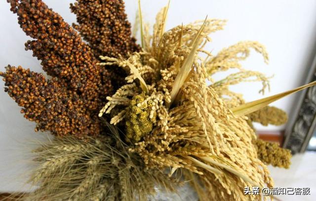 中国的白酒文化，中国八大名酒（老酒收藏爱好者的总结）