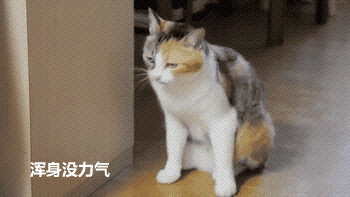 经痛是什么，肋间神经痛是什么（姨妈疼究竟是一种什么样的痛）