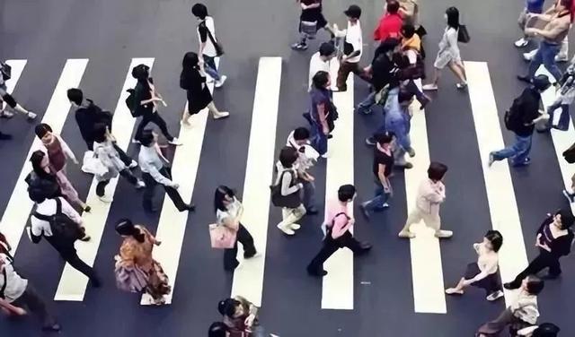 东北人不敢惹徐州人，徐州人社app（被误解的徐州人，是你吗）