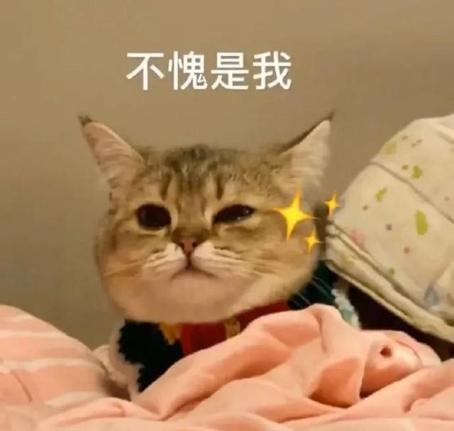 foreign是什么意思，原来这些当红明星都是外国语学院毕业的
