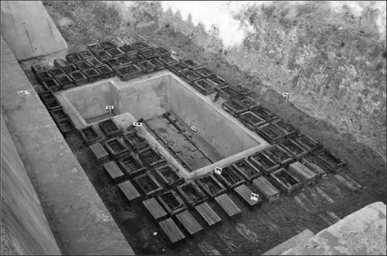 【黄柏木】黄柏木家具好吗，黄柏树木质怎么样（中国最恐怖古墓）