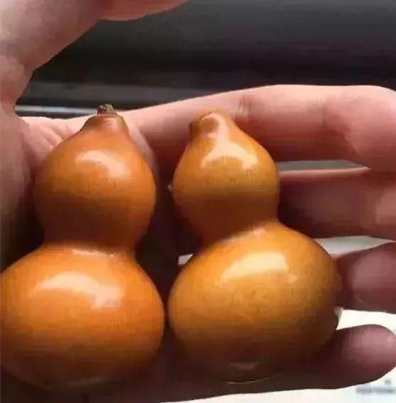 葫芦怎么处理方法，要盘出漂亮的葫芦（手把葫芦如何处理）
