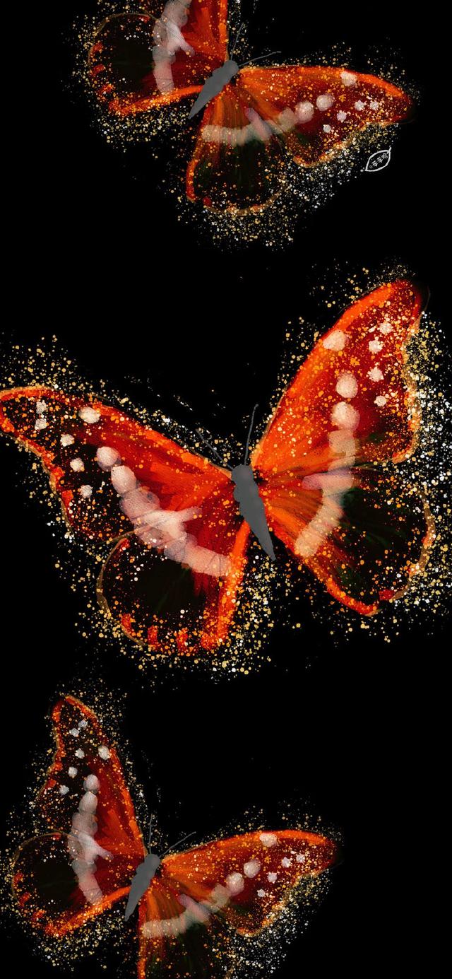 唯美有蝴蝶，微信头像，唯美有蝴蝶（超级惊艳靓丽的蝴蝶来了第二波）