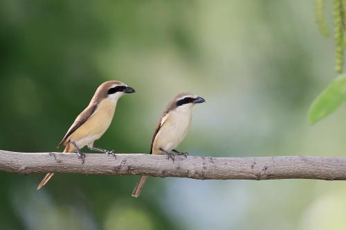 分手发的朋友圈，正式告别一段感情的话（如何写分手的朋友圈）