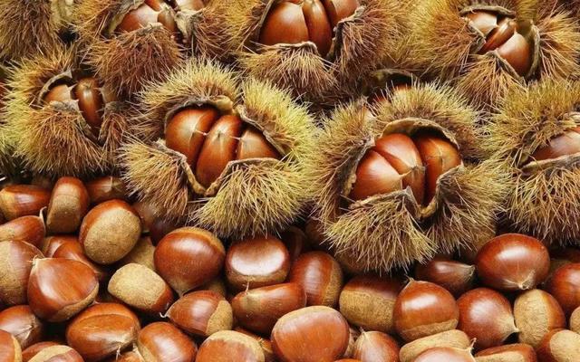 板栗的作用及功效作用，板栗有啥作用和功效（被称为“干果之王”的板栗）