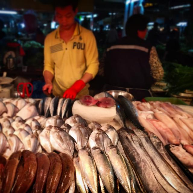 秋刀鱼的营养价值，秋刀鱼的营养价值是什么（人工无法养殖）