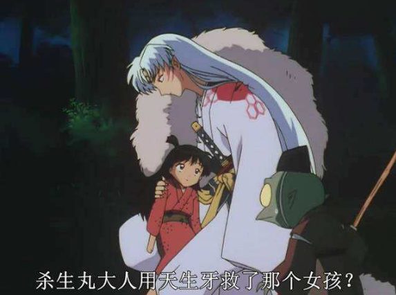 白色桔梗花花语是什么，白色桔梗花花语是什么意思（桔梗的花语已经注定了她的命运）