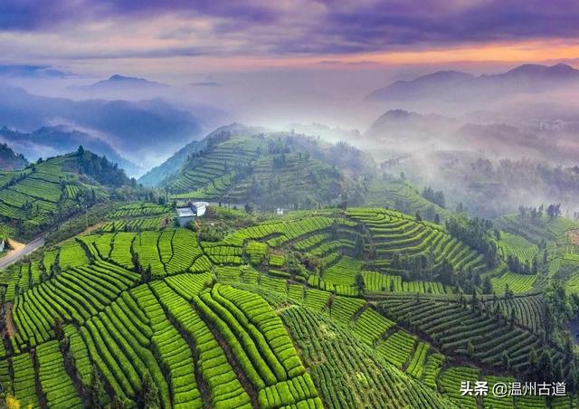 苍南10大名山，苍南的这十座名山，你都爬过吗