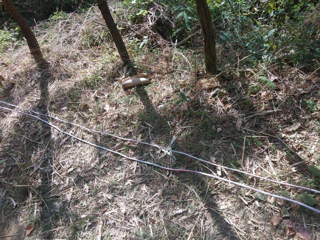 水往低处流是什么原理，水为什么往下处流（水为什么能长久向高处流）