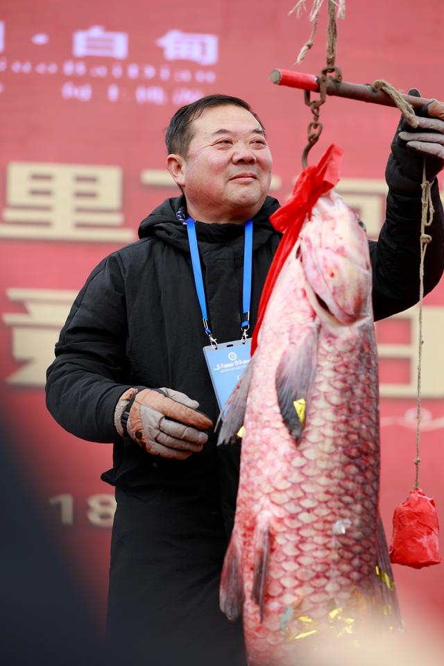 海安俗称铜头的是什么鱼，海铜鱼是什么鱼图片（第九届里下河捕鱼节开幕式）