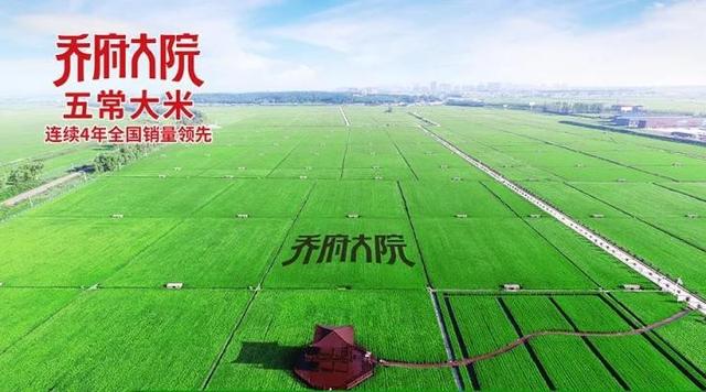 五常大米的执行标准哪个最好，这个执行标准必须了解