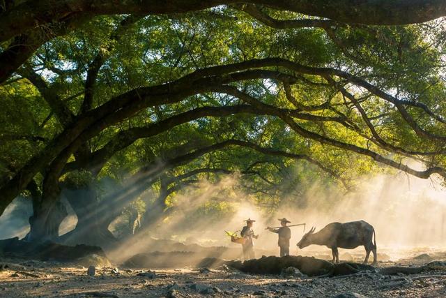 九月份适合去哪里旅游 最全攻略在这里，九月份适合去哪里旅游（看到第一个就想出发了）