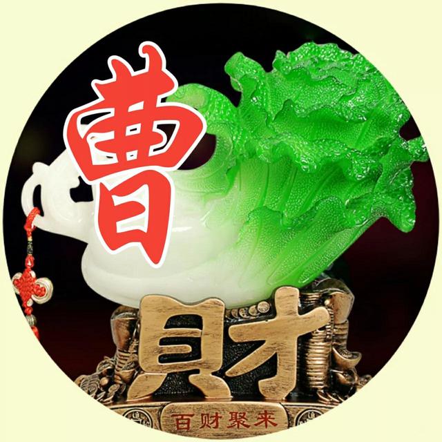 张琪笙，微信头像，张琪笙（60张姓氏头像）