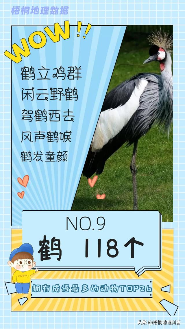 关于猫的词语有多少个，关于猫的词语有多少个词语（盘点哪种动物拥有的成语最多）