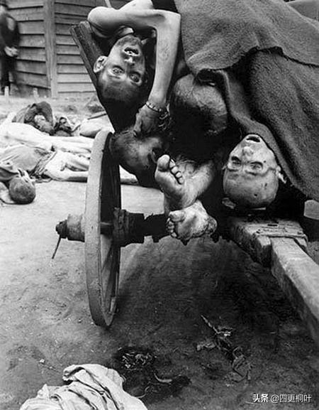 海德里希遇刺事件，这是二战代价最惨重的暗杀事件吗（海德里希：臭名昭著的盖世太保）