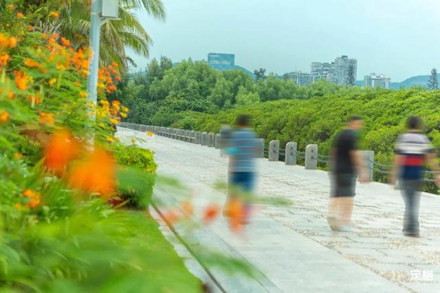 深圳哪里好玩又便宜，深圳哪里好玩又便宜的地方（《11月深圳打卡指南》来了）