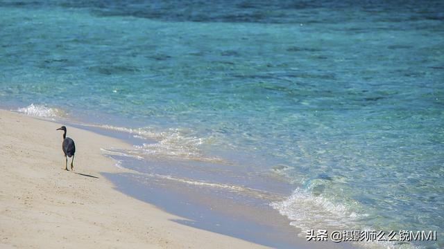 梦幻天堂游戏手机版下载，梦幻天堂经营手游官网最新版下载安装安卓版appv45.0.2（我才明白什么叫做梦幻天堂）