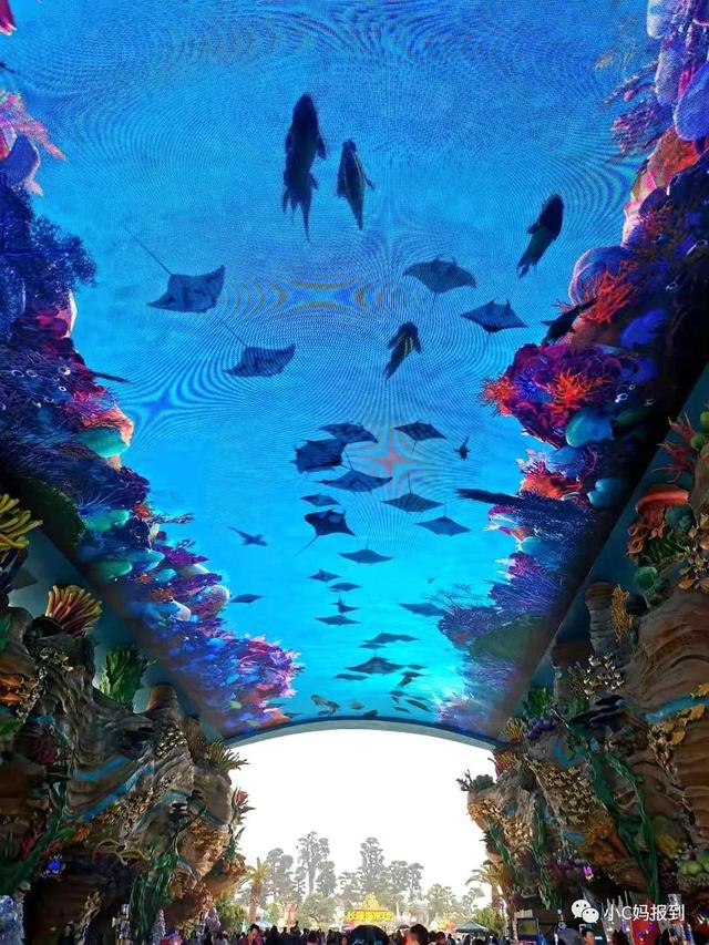 珠海长隆游玩攻略，珠海长隆游玩攻略图（带娃去珠海长隆该怎么玩）