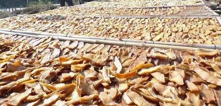 圖片[4]-紅薯保存方法 放一年不壞 越放越甜！-起舞食譜網(wǎng)