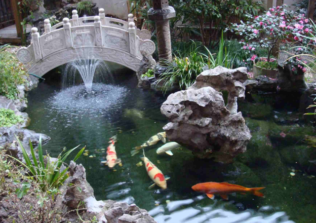 庭院鱼池风水讲究与禁忌，庭院做鱼池也是有讲究的