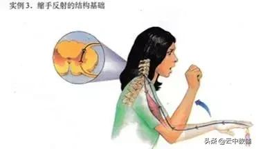 大肠杆菌菌落特征，大肠杆菌培养（一位高中生物老师分享对生物的理解）