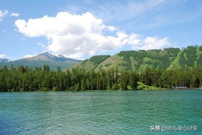 幼儿园教师最美格言，幼儿园教师师德师风总结（幼儿园丨幼师有爱）