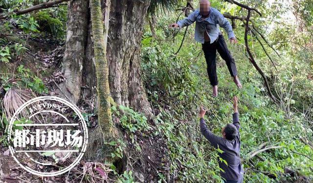 祖坟上长树能不能砍掉，为什么坟边的树不能砍（赣州：嫌大树挡了祖坟“风水”）
