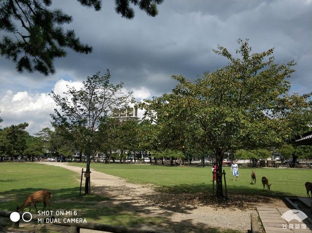 国航最高级别什么卡，国航白金卡什么级别（经济舱也能享受贵宾室、提前选座等权益）