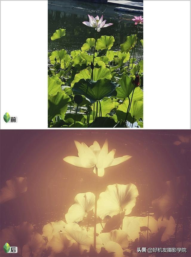 如何将照片制作黑白剪影的效果，照片怎么做成黑白剪影（如何用snapseed将手机照片制作成为图中图的二次曝光剪影效果）