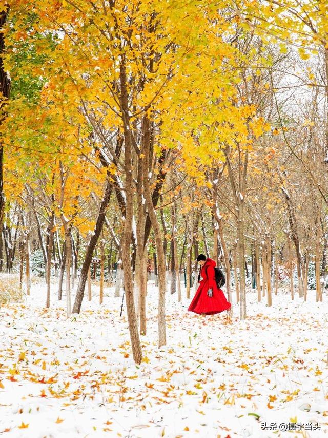 情侣唯美雪景图片，情侣唯美雪景图片真实（冬日初雪印象：一半冬雪）