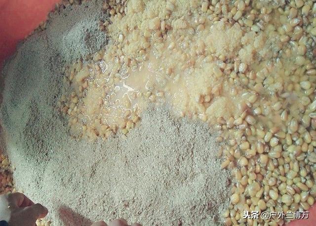 南方野钓鲫鱼方法，南方怎么钓鲫鱼（深秋钓鱼掌握这些招数）