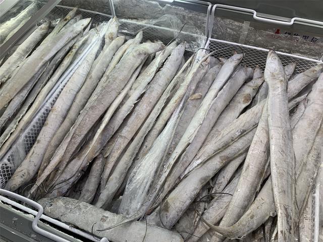 中国最好的带鱼产自哪里，中国哪里盛产带鱼（记住选择“三小一厚”）