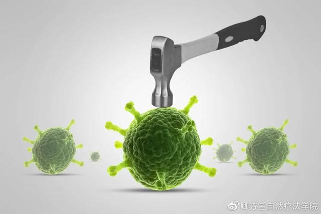 檀香精油的功效与作用，檀香精油、玫瑰、薰衣草分别的功效（赴一场心灵之约——檀香精油）