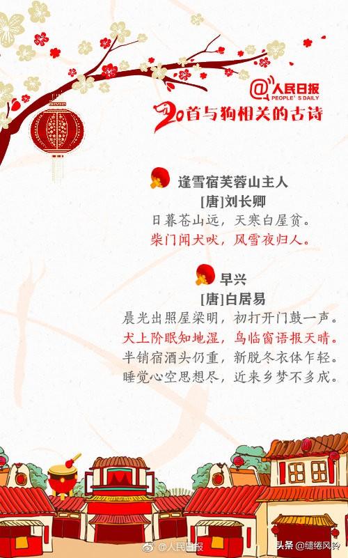 带鸟名的诗句，带鸟名的诗句飞花令（《人民日报》推荐20首与狗相关的古诗）