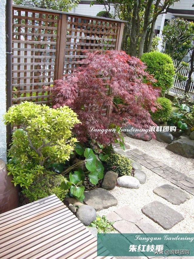 什么样的枫树填空。，什么的枫树填空词语二年级（增添了花园四季色彩之美）