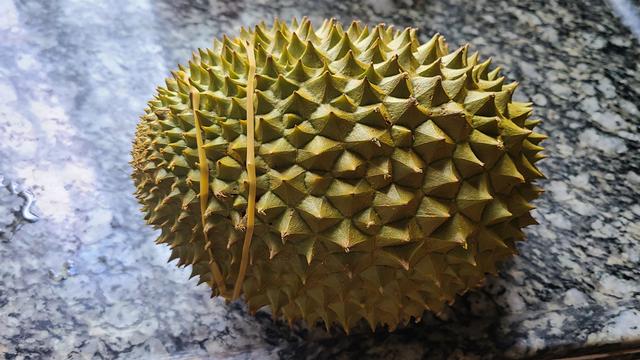 怎么用榴莲肉煲汤，榴莲肉汤的做法大全窍门（广东夏天很常见的一道美食）
