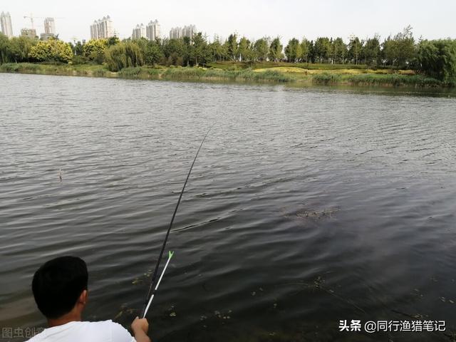 dmpt是什么东西，dmpt钓鱼小药的最佳用量（有人却视为鸡肋弃之）