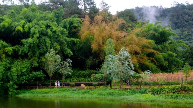 云浮有什么著名的土特产，云浮有什么著名的土特产美食（广东游记：我的云浮旅游攻略）