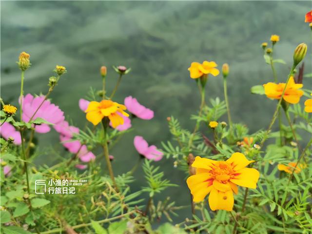 泸沽湖属于哪里，泸沽湖在哪里哪个城市（为什么人们只知道“丽江泸沽湖”）