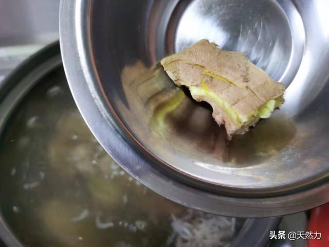 萝卜排骨汤的功效，白萝卜排骨粥的功效（排骨可以熬粥吗）