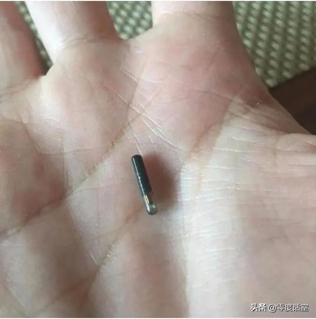 暖手宝里面是什么，暖手宝是什么成分（“网友什么都知道系列”）