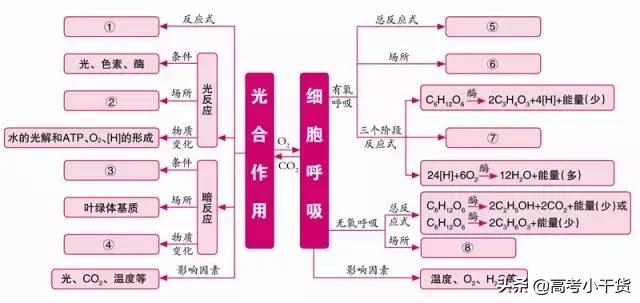 高中生物必修一思维导图，高中生物必修一全部思维导图（高中生物必修1思维导图）