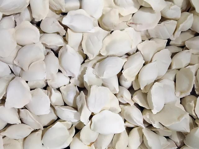 冷冻饺子蒸多久才能熟，冷冻饺子蒸多久才能熟透（内行人推荐这4款）