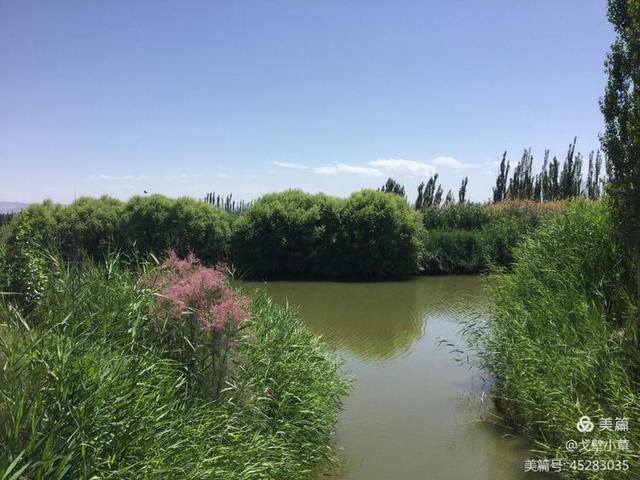 西海在哪里 西海位于哪个地方，西海在哪里（中国最大的内陆淡水吞吐湖）