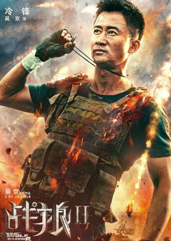 战狼2讲的什么故事，战狼二讲了什么故事（《战狼》和《战狼2》）