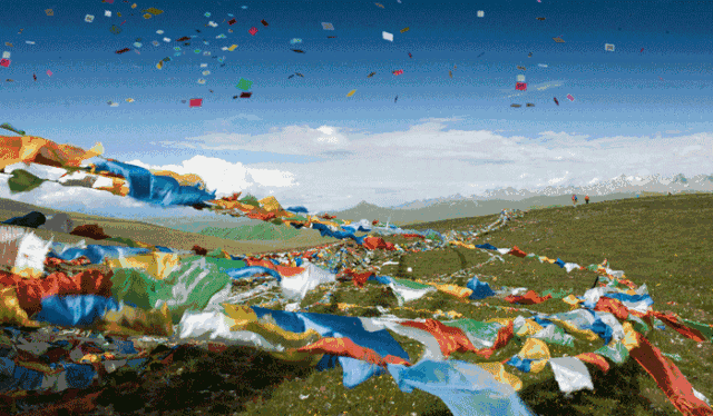 飞常准航班动态实时查询下载，飞常准航班动态实时查询app下载最新版v5.8.0（10000人都在用的旅行达人必备实用APP）