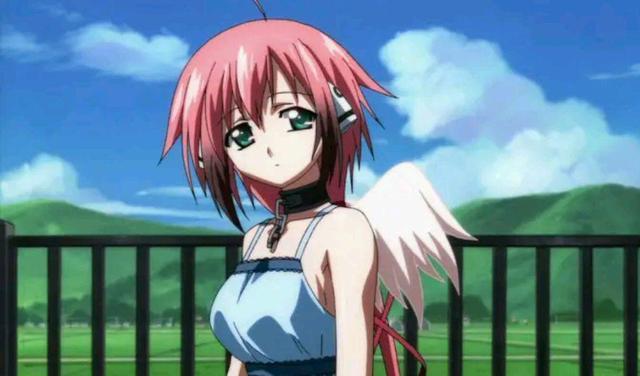 强词夺理的意思，强词夺理什么意思（如果这些词都不知啥意思）