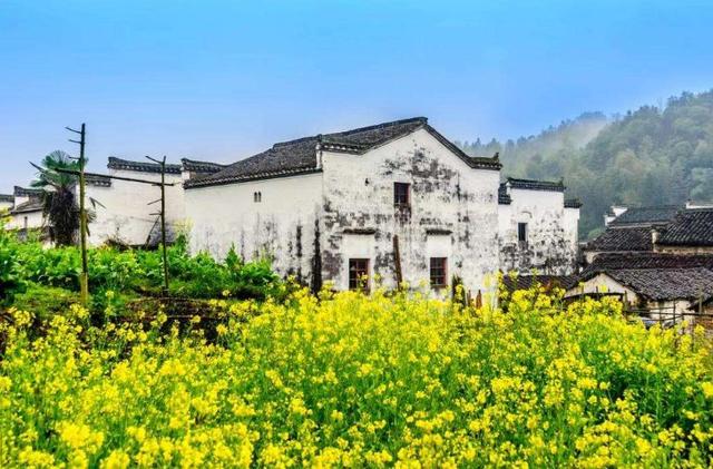 春天古诗25首简单的，关于春天的25首简单古诗有哪些（在诗韵中遇见最美的春天）